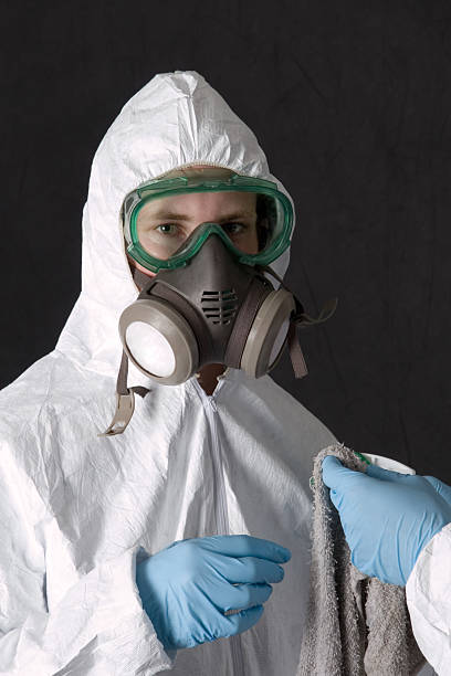 Best Air Quality Testing for Mold Spores  in North Bay Shore, NY